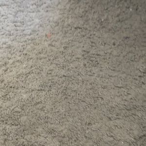 Meet your Posher, Dominick